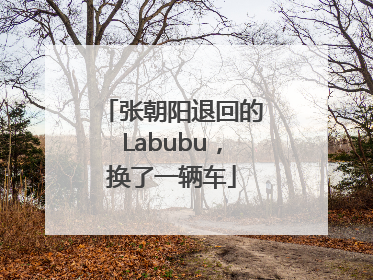 张朝阳退回的Labubu，换了一辆车
